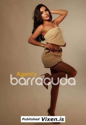 Dayo, Agency Barracuda Agency