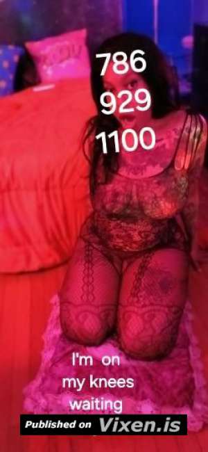 CumdumpCoochie 65Yrs Old Escort Bronx NY Image - 5
