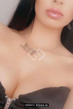 27Yrs Old Escort Brunette C Cup 55KG 178CM Tall Dresden in Dresden